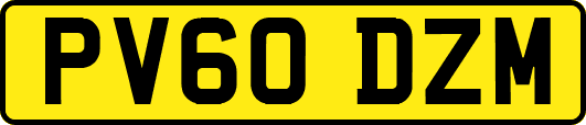 PV60DZM