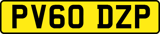 PV60DZP