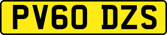 PV60DZS