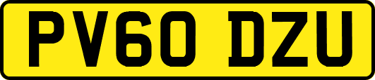 PV60DZU