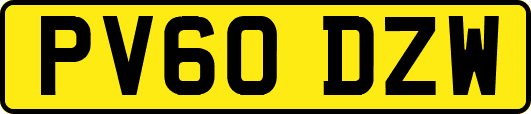 PV60DZW