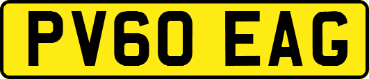 PV60EAG