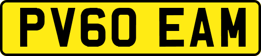 PV60EAM