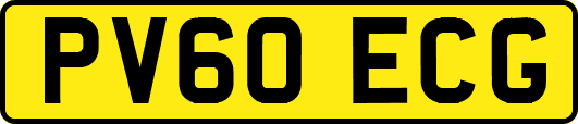 PV60ECG