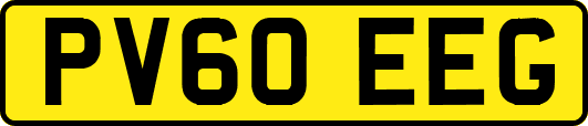 PV60EEG