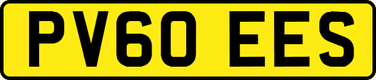 PV60EES