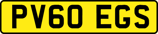 PV60EGS