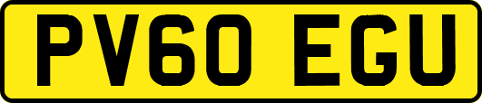 PV60EGU