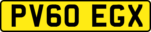 PV60EGX