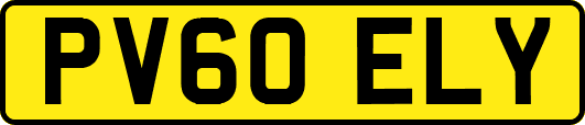 PV60ELY
