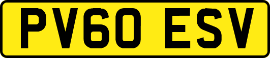 PV60ESV