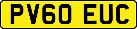 PV60EUC