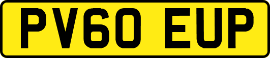 PV60EUP