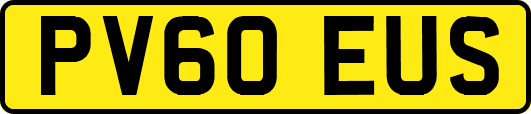 PV60EUS