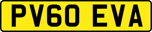 PV60EVA