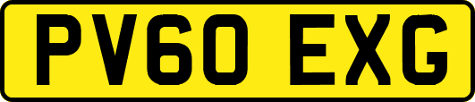 PV60EXG