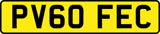 PV60FEC