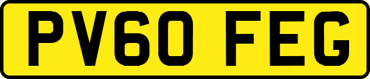 PV60FEG