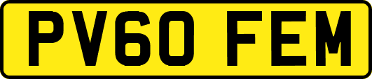 PV60FEM