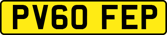 PV60FEP