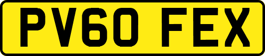 PV60FEX