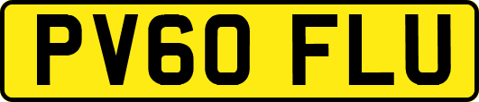 PV60FLU