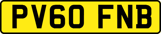 PV60FNB