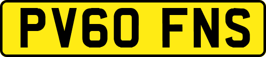 PV60FNS