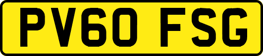 PV60FSG