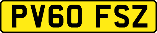 PV60FSZ