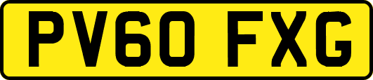 PV60FXG