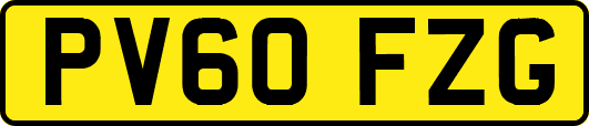 PV60FZG