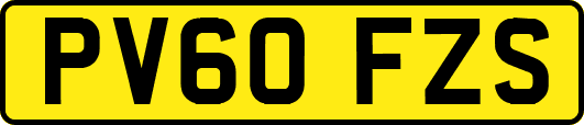 PV60FZS