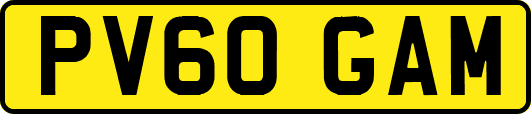 PV60GAM