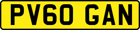 PV60GAN