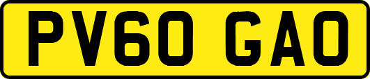 PV60GAO