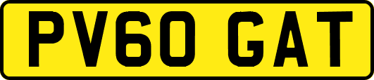 PV60GAT