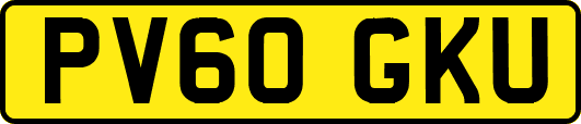 PV60GKU