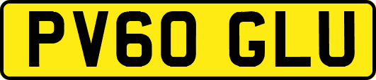 PV60GLU