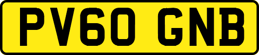 PV60GNB