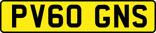 PV60GNS