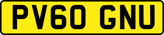 PV60GNU