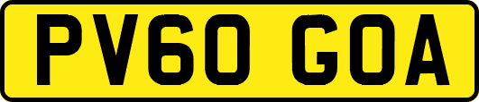 PV60GOA