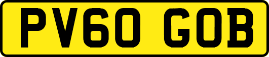 PV60GOB