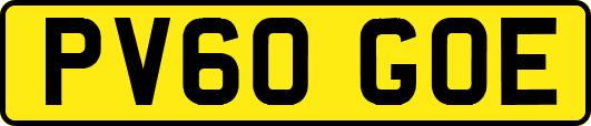 PV60GOE