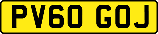 PV60GOJ