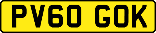 PV60GOK
