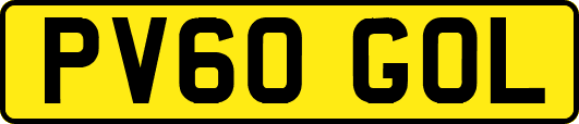 PV60GOL