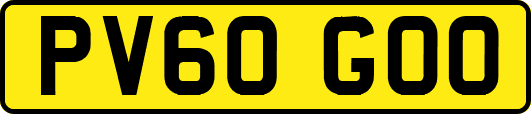 PV60GOO