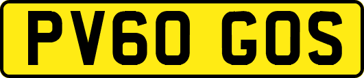 PV60GOS